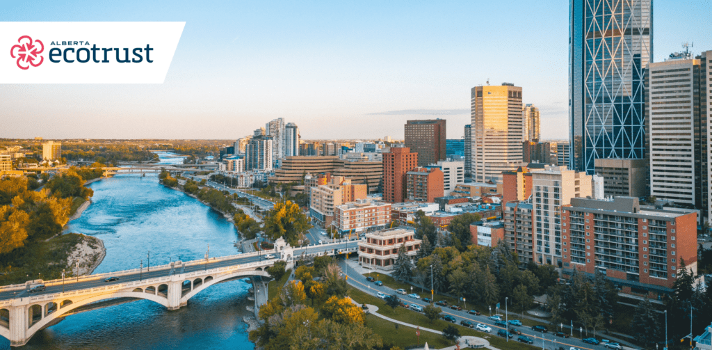 newsletter images (35)